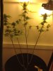420-magazine-mobile1535649572.jpg