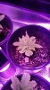 20170101_060226.jpg
