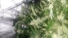 20161227_171327_noexif.jpg 20161227_171327_noexif.jpg