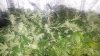 20161227_171306_noexif.jpg 20161227_171306_noexif.jpg