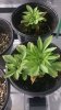 20170102_150448.jpg
