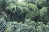 DSC_2173.jpg