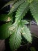 20170103_012557.jpg