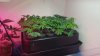 20170104_090304.jpg