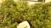20170105_084436.jpg