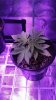 20170106_053549.jpg