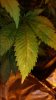 IMG_20170107_001156.jpg