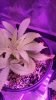 20170107_182246.jpg