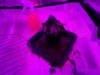 IMG_20170101_181150.jpg