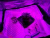 IMG_20170102_175510.jpg