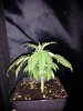 IMG_20170107_095415.jpg