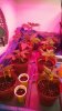 20170109_084905.jpg