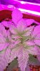 20170108_150027.jpg