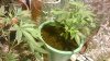 WP_20170110_001.jpg