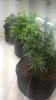 20170110_104359.jpg