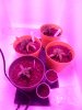 IMG_20170110_152423.jpg