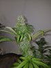 20170110_143933.jpg
