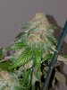 20170110_144339.jpg