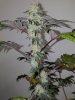 20170110_144619.jpg