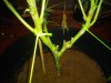 IMG_20161219_200231.jpg