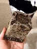 IMG_20170109_181546.jpg
