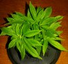 20170110_203036-1.jpg
