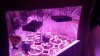 20170113_000149.jpg