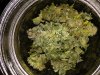 20170113_072644.jpg