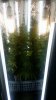 20161227_154313.jpg
