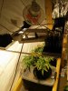 20170113_072410.jpg
