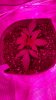 20161208_104355.jpg