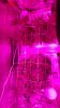 20170114_154123.jpg