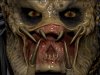 closeup.jpg