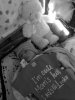IMG_8385.JPG IMG_8385.JPG