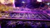 20170114_063735.jpg