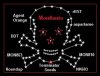 Monsanto.jpg