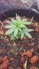 20170118_163010.jpg