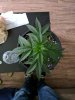 IMG_20170118_153929.jpg