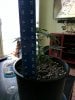 IMG_20170118_154021.jpg