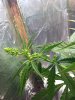 IMG_0047.JPG
