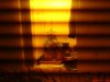 DSC00017.jpg