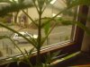 DSC00025.jpg