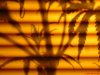 DSC00031.jpg