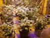 20170120_004542.jpg
