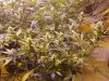 20170120_004608.jpg