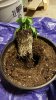 20170118_181316.jpg