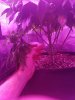 20170121_161756.jpg