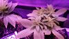 20170123_182419.jpg