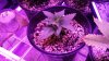 20170123_182415.jpg