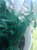 20170125_102812.jpg